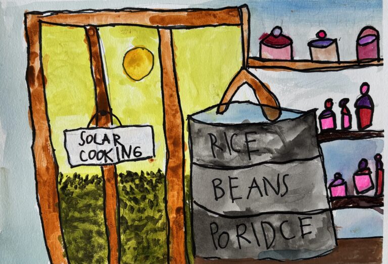 The sun - our natural stove