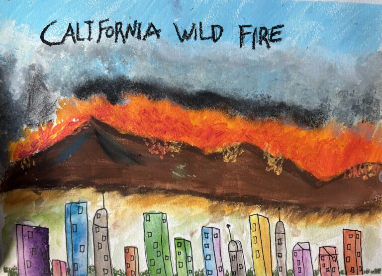 Wildfire Under the Blazing Sun